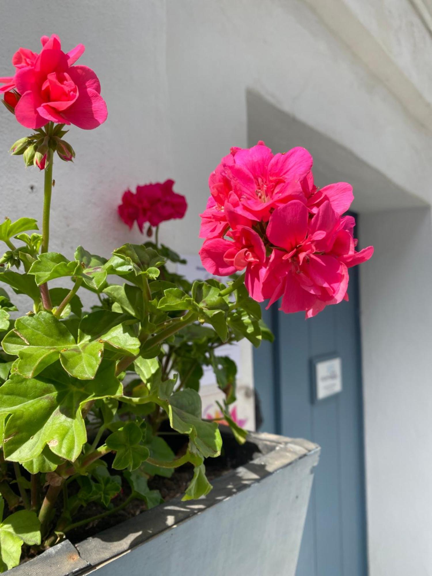 Hotel Victoria Seis Medina-Sidonia Exterior foto